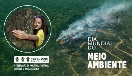 no-dia-mundial-do-meio-ambiente-fetec-pede-fim-dos-financiamentos-de-projetos-de-destruicao